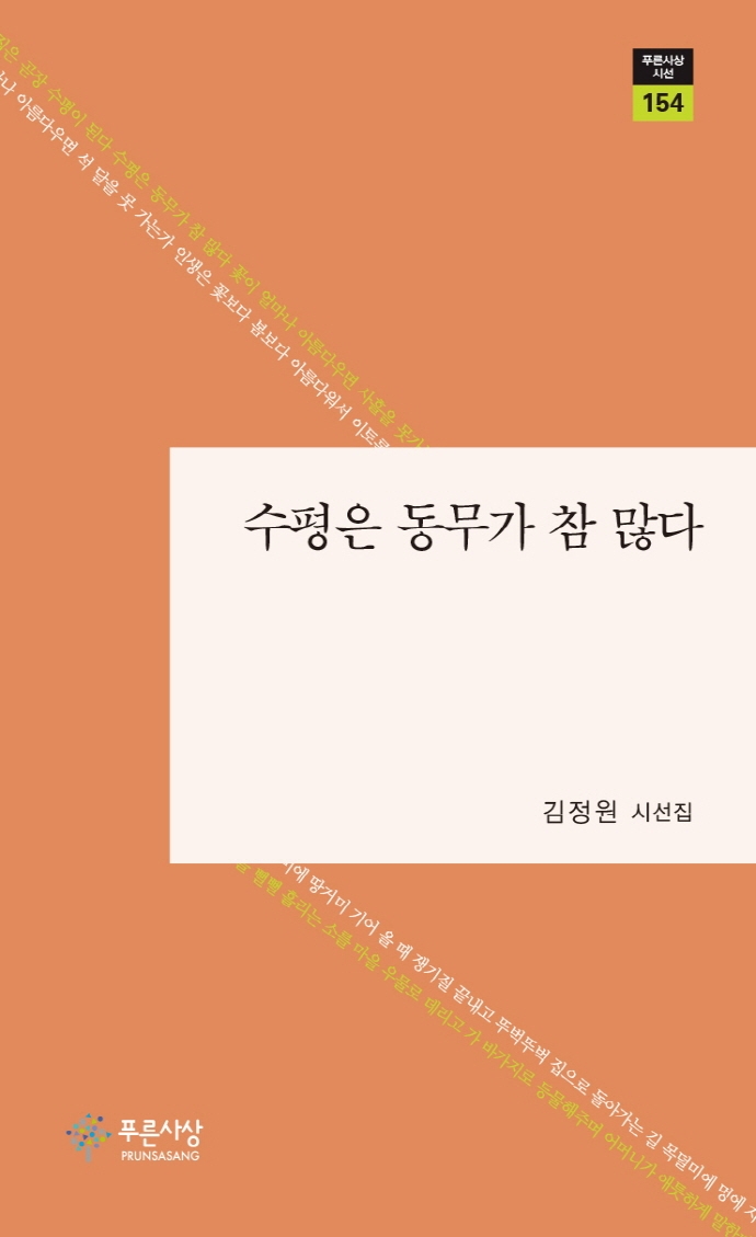 수평은 동무가 참 많다 : 김정원 시선집