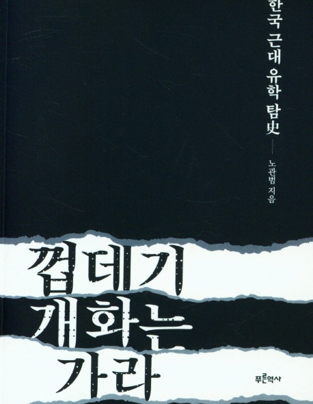 껍데기 개화는 가라 : 한국 근대 유학 탐史