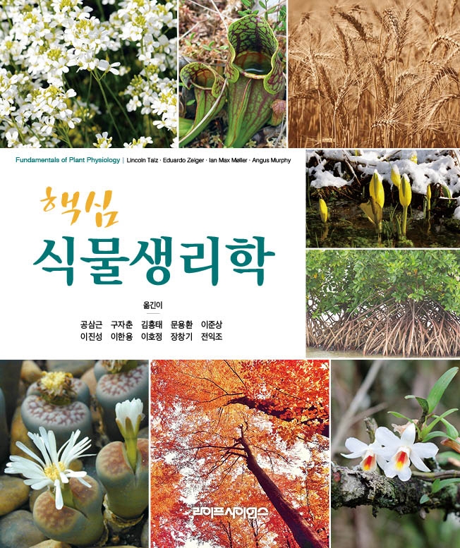 (핵심) 식물생리학