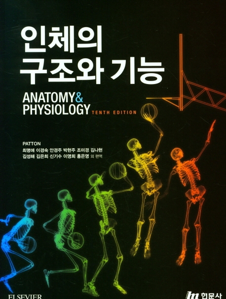 인체의 구조와 기능