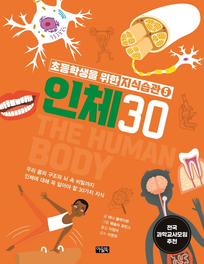 인체 30