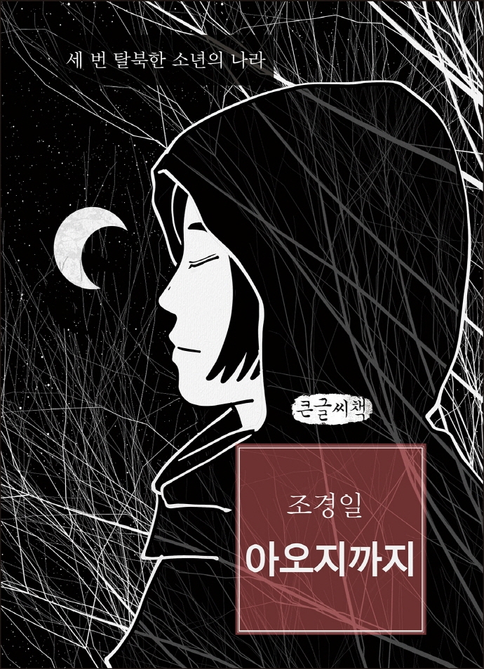아오지까지 : 세 번 탈북한 소년의 나라 : 큰글자책