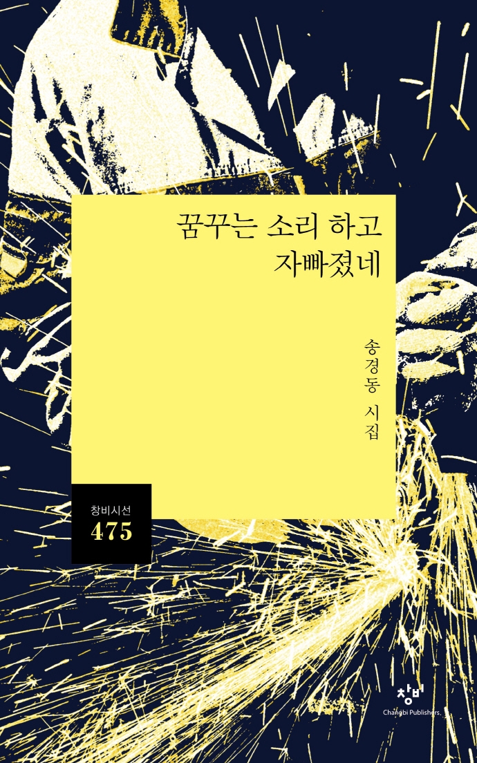 꿈꾸는 소리 하고 자빠졌네 : 송경동 시집