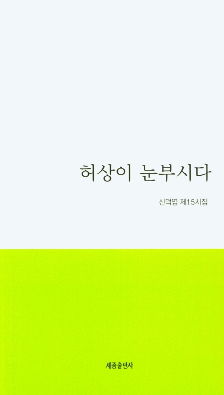 허상이 눈부시다 : 신덕엽 제15시집