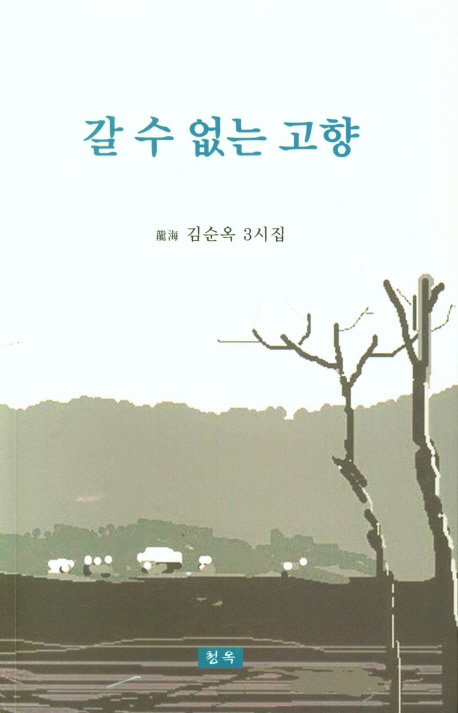 갈 수 없는 고향 : 龍海 김순옥 3시집