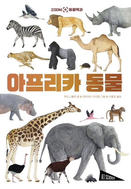 아프리카 동물