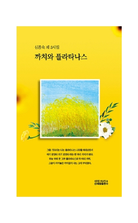 까치와 플라타나스 : 심종숙 제3시집