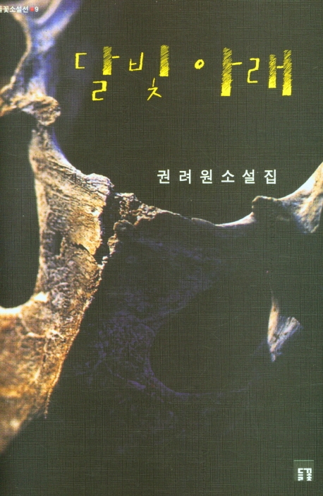 달빛 아래 : 권려원 소설집