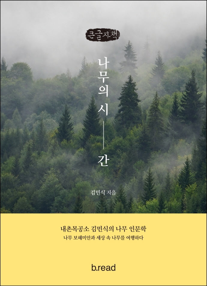나무의 시간 : 내촌목공소 김민식의 나무 인문학 : 큰글자책