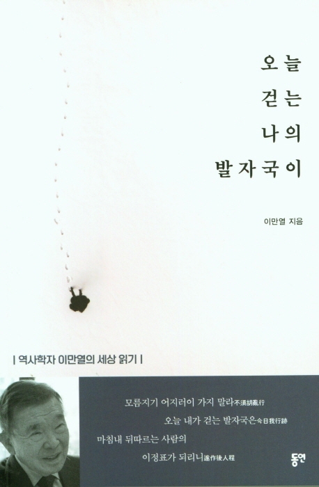 오늘 걷는 나의 발자국이 : 역사학자 이만열의 세상 읽기