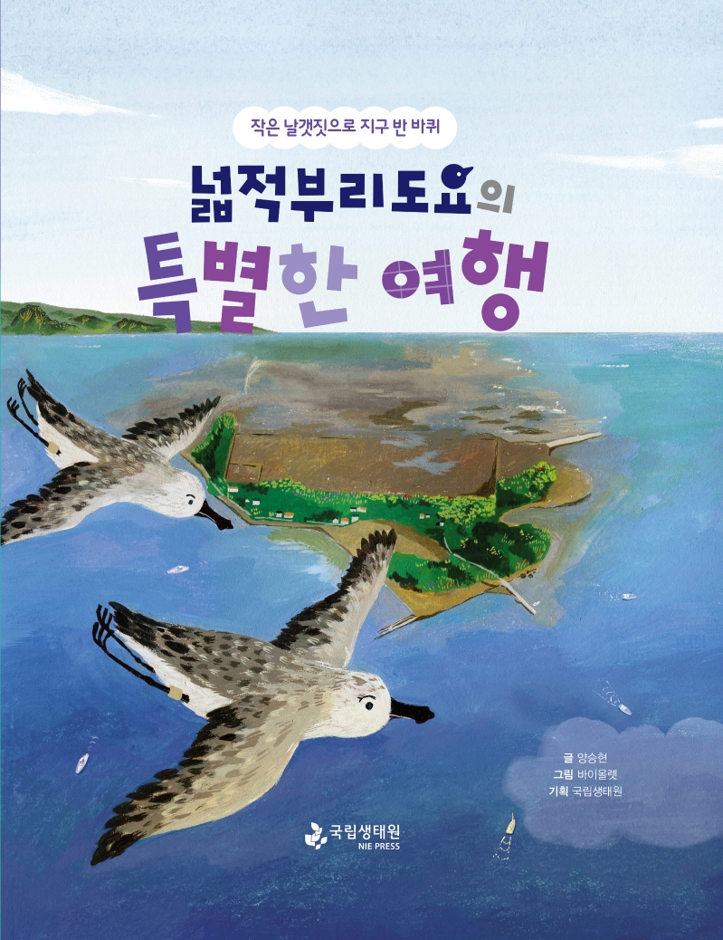 넓적부리도요의 특별한 여행 : 작은 날갯짓으로 지구 반 바퀴