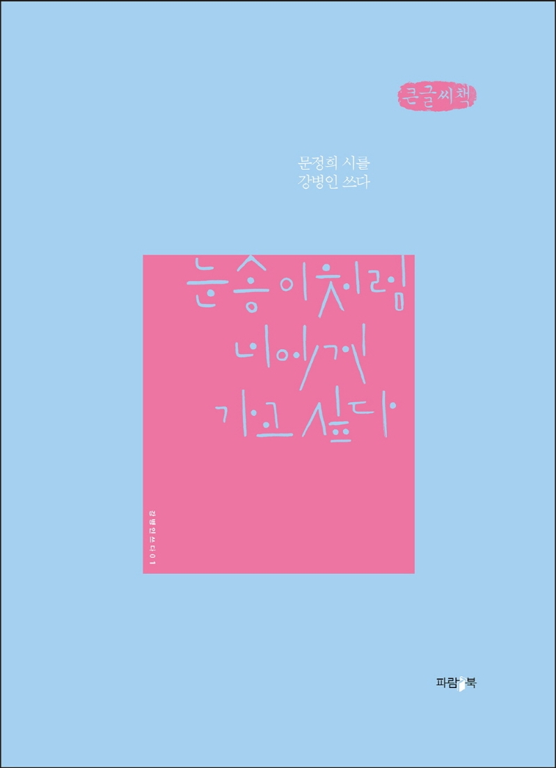 눈송이처럼 너에게 가고 싶다 : 문정희 시를 강병인 쓰다 : 큰글자책