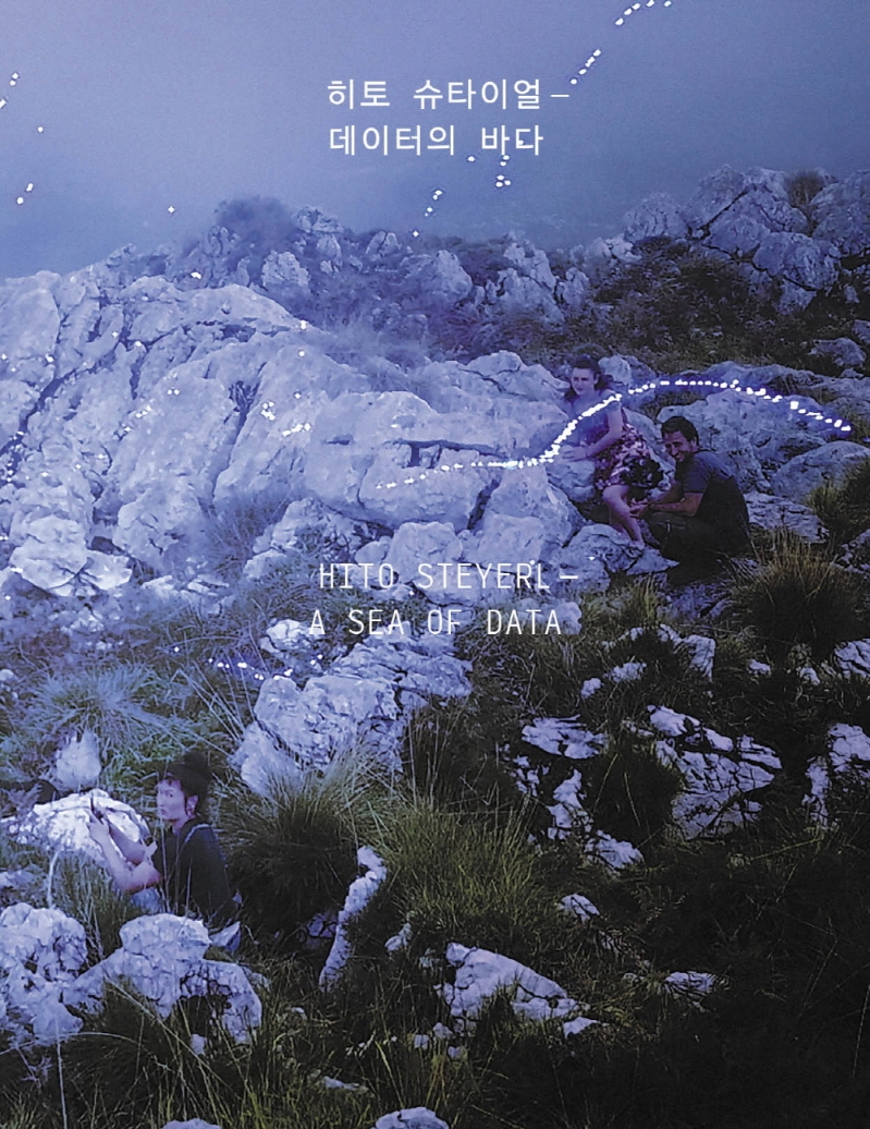 히토 슈타이얼 : 데이터의 바다 = Hito Steyerl : a sea of data