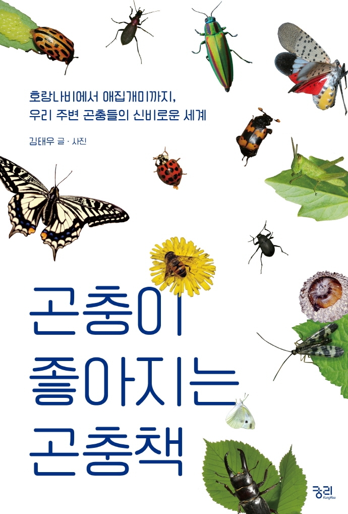 곤충이 좋아지는 곤충책 : 호랑나비에서 애집개미까지, 우리 주변 곤충들의 신비로운 세계