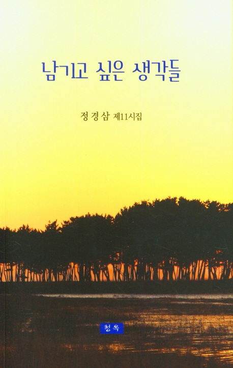 남기고 싶은 생각들 : 정경삼 제11시집
