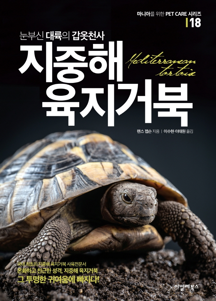 (눈부신 대륙의 갑옷천사) 지중해 육지거북