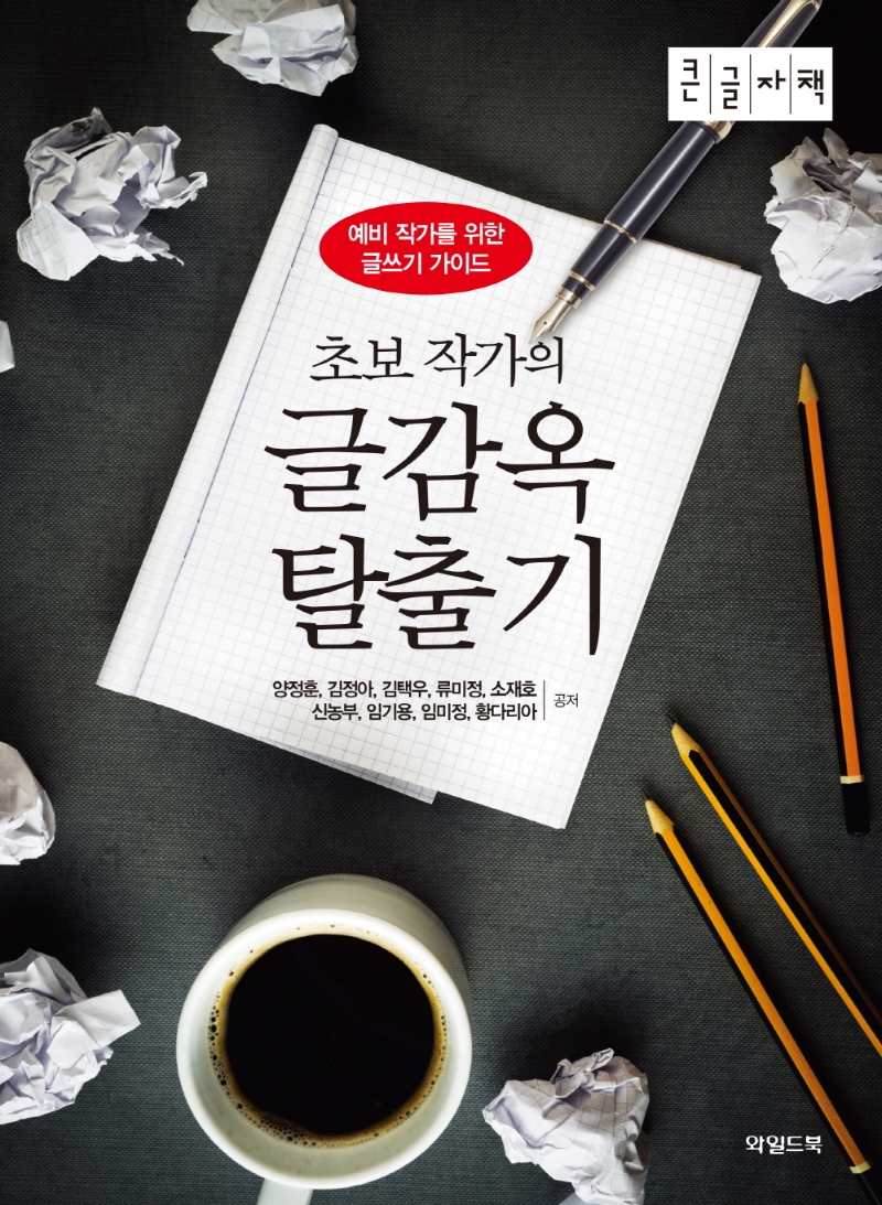 초보 작가의 글감옥 탈출기 : 예비 작가를 위한 글쓰기 가이드 : 큰글자책