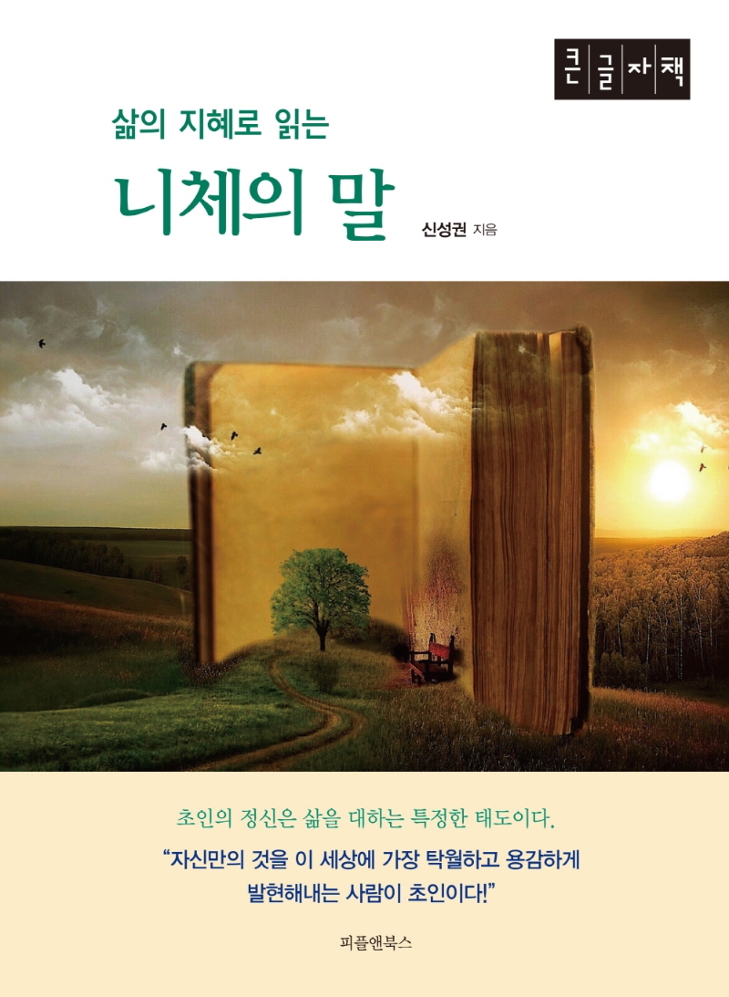 (삶의 지혜로 읽는) 니체의 말 : 큰글자책