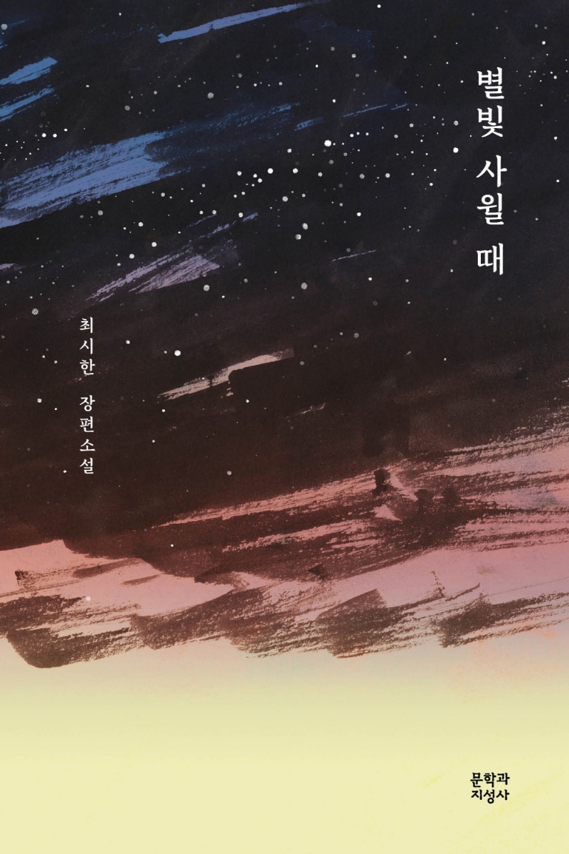 별빛 사윌 때 : 최시한 장편소설
