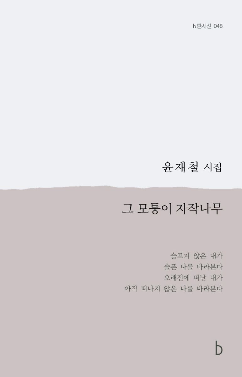 그 모퉁이 자작나무 : 윤재철 시집