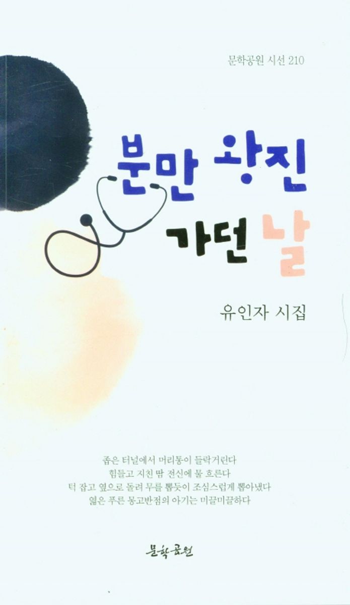 분만 왕진 가던 날 : 유인자 시집