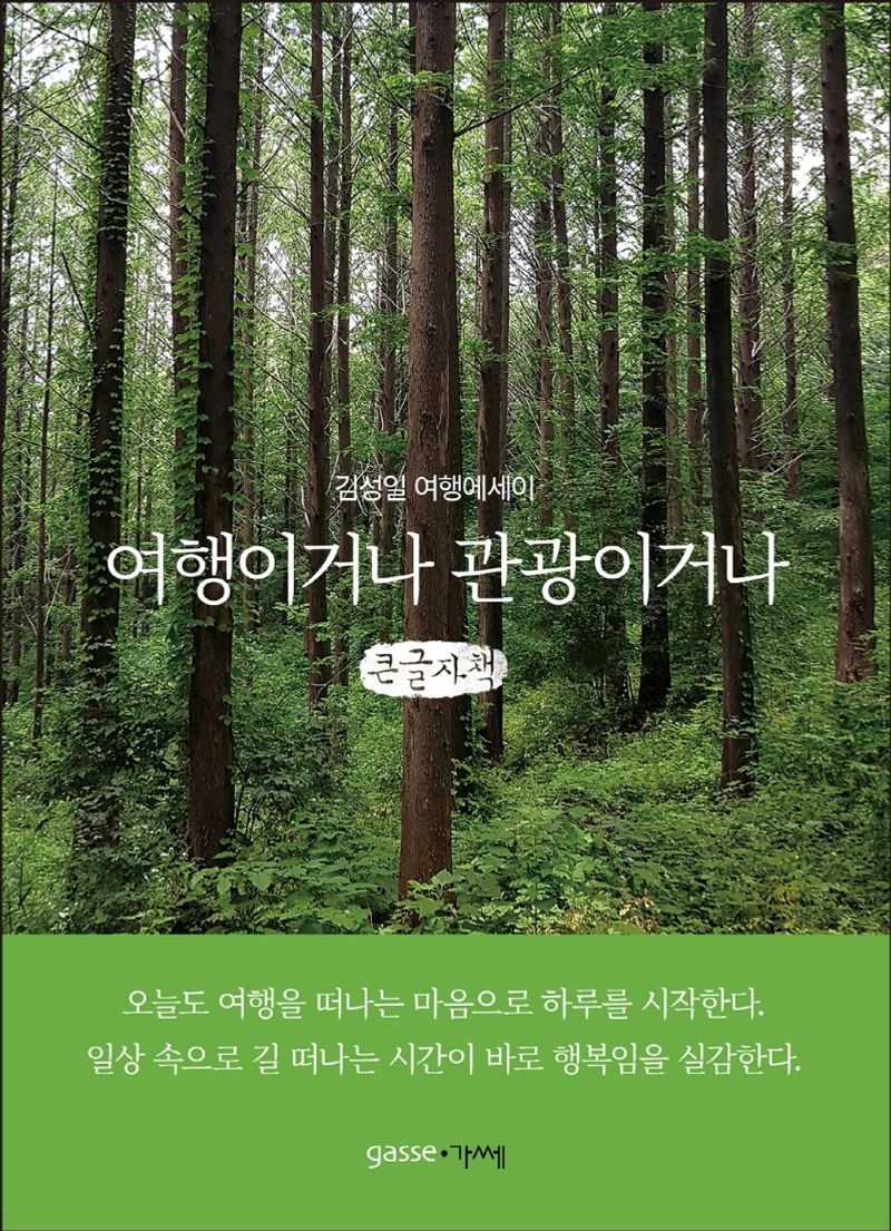 여행이거나 관광이거나 : 김성일 여행에세이 : 큰글자책