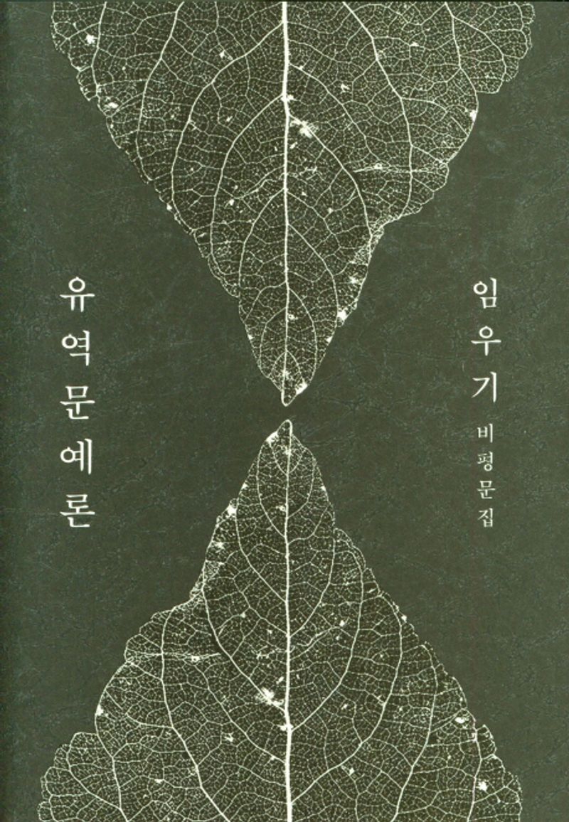 유역문예론 : 임우기 비평문집