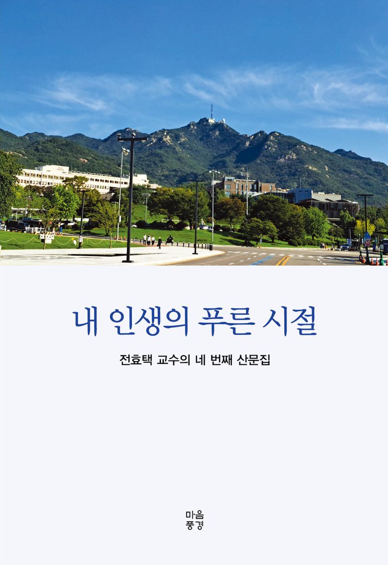 내 인생의 푸른 시절 : 전효택 교수의 네 번째 산문집