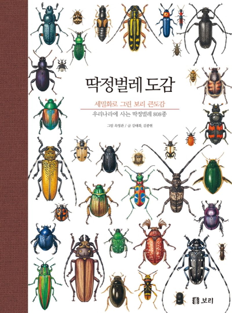 딱정벌레 도감 : 우리나라에 사는 딱정벌레 808종