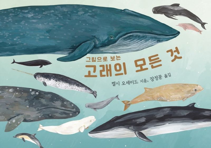(그림으로 보는) 고래의 모든 것