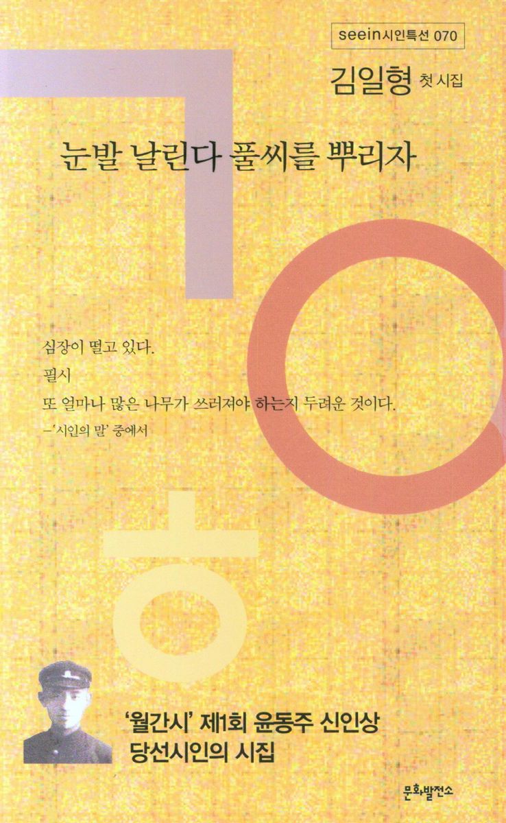 눈발 날린다 풀씨를 뿌리자 : 김일형 첫시집