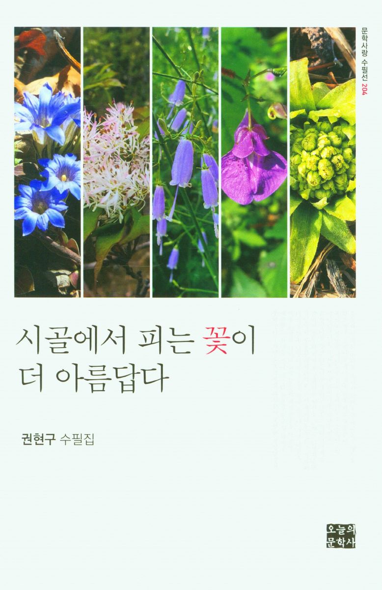 시골에서 피는 꽃이 더 아름답다 : 권현구 수필집