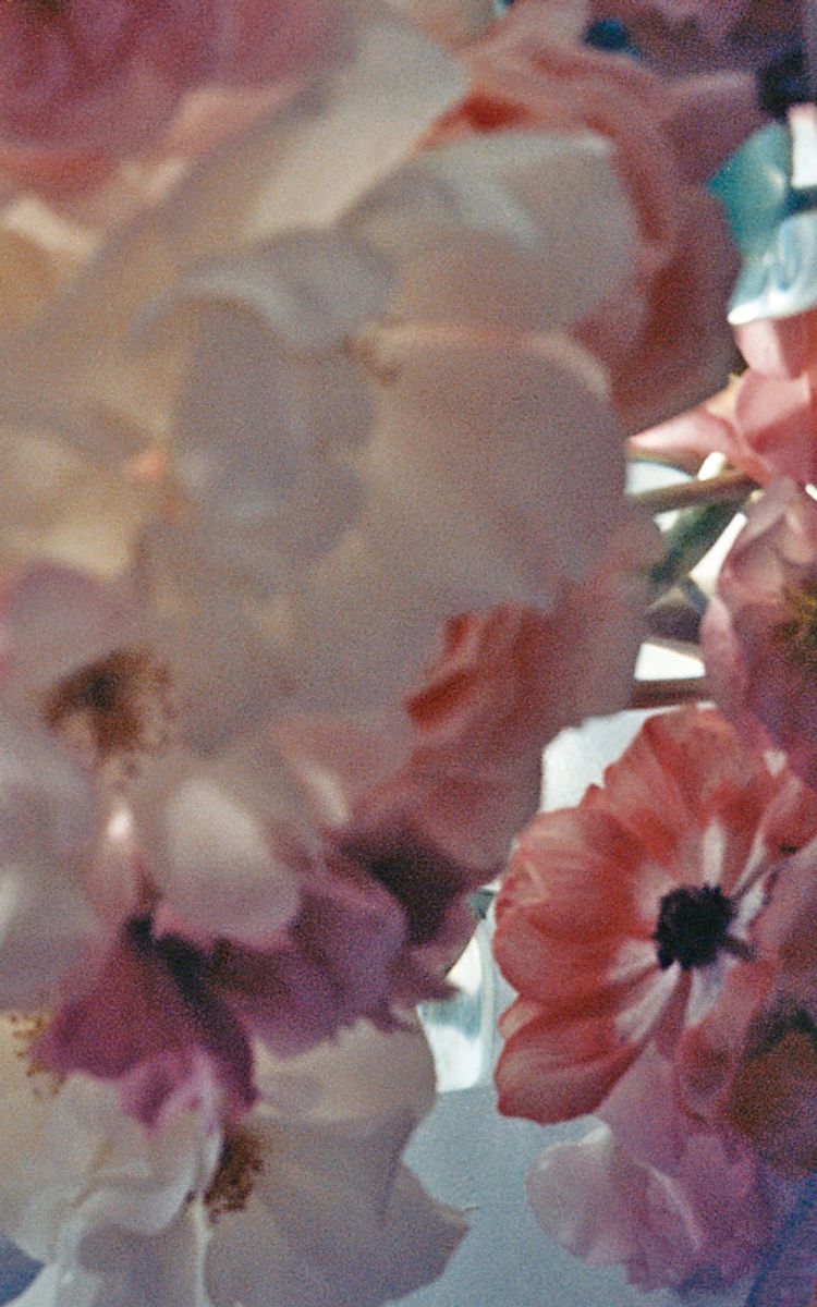 소년전홍 = A boy cuts a flower