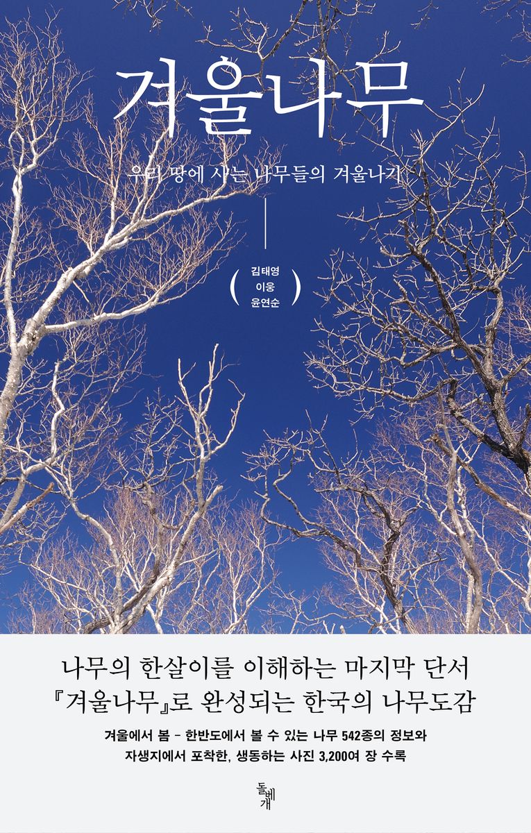 겨울나무 : 우리 땅에 사는 나무들의 겨울나기