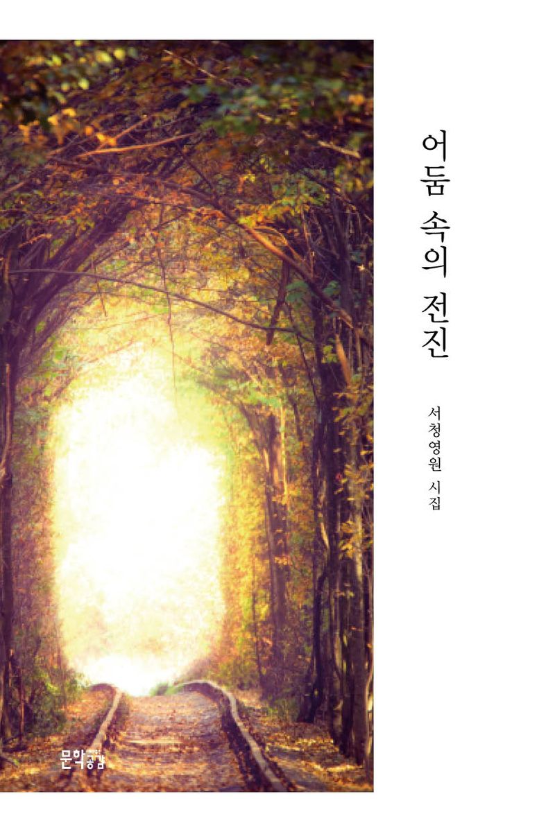 어둠 속의 전진 : 서청영원 시집