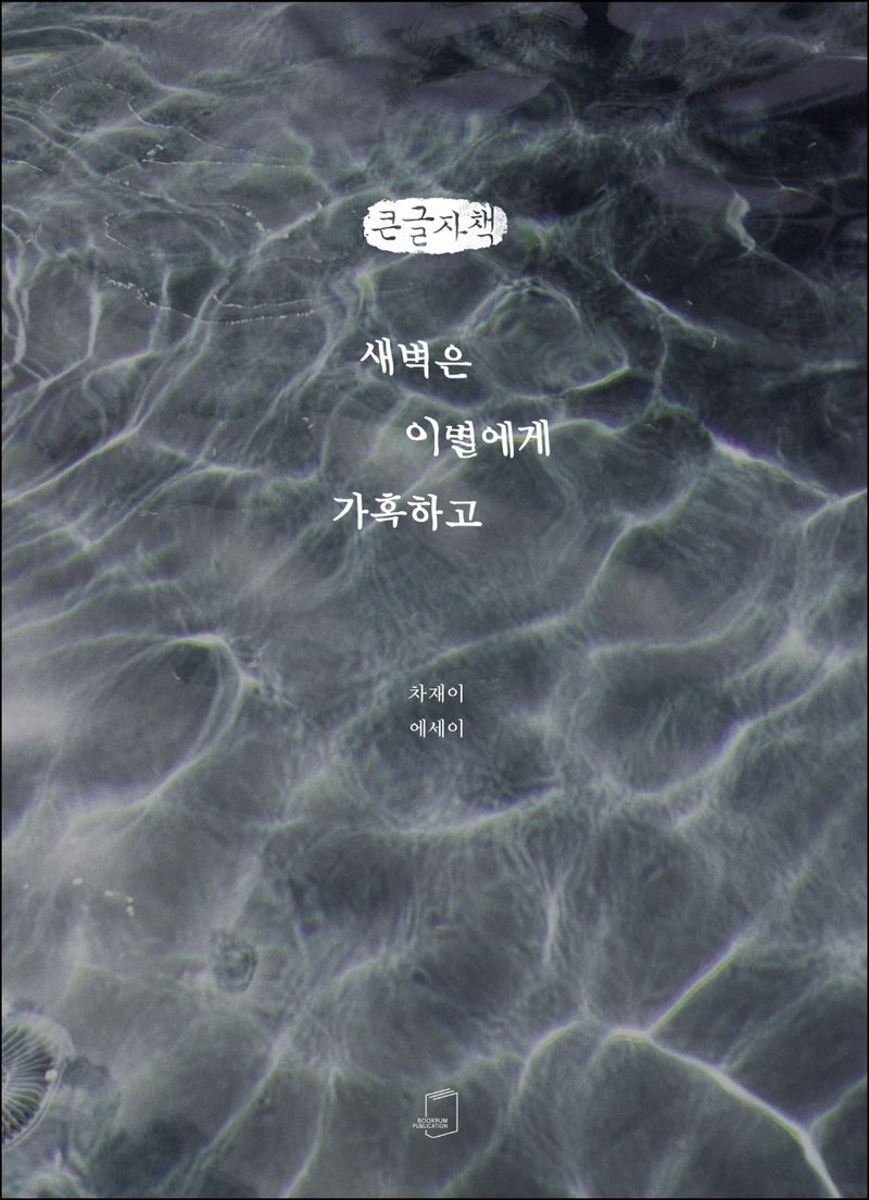 새벽은 이별에게 가혹하고 : 차재이 에세이 : 큰글자책