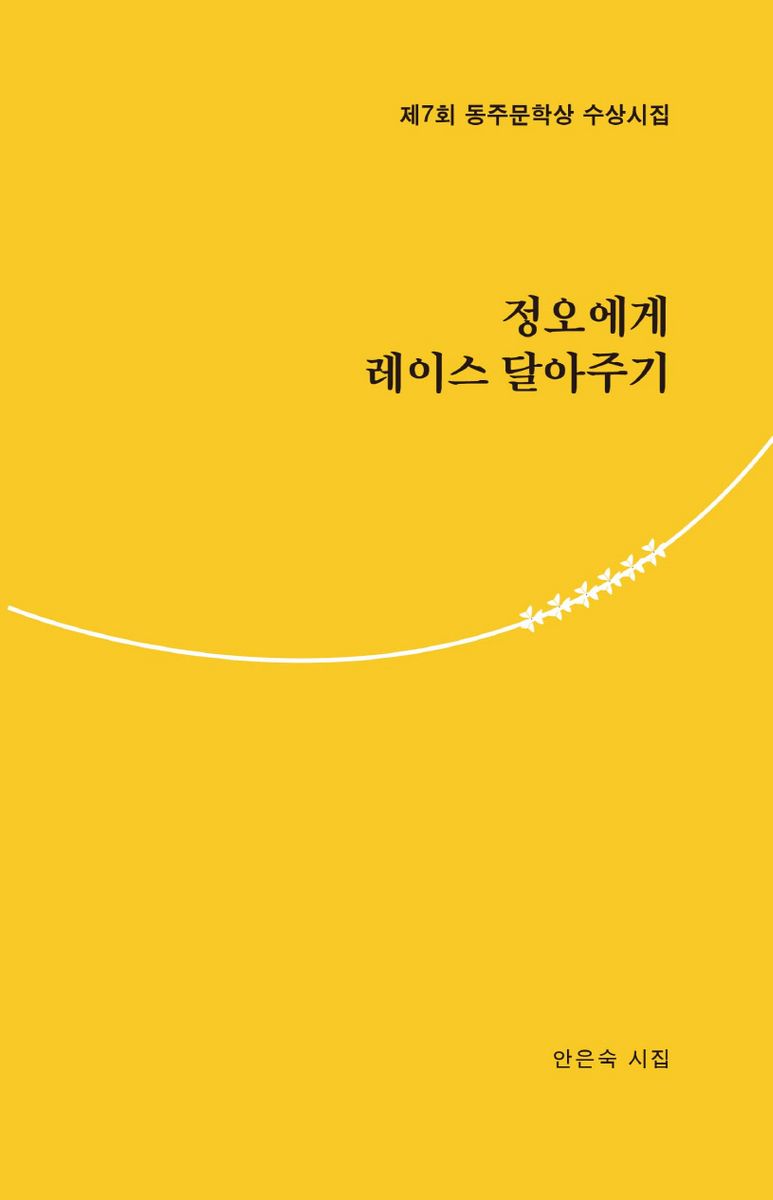 정오에게 레이스 달아주기 : 안은숙 시집