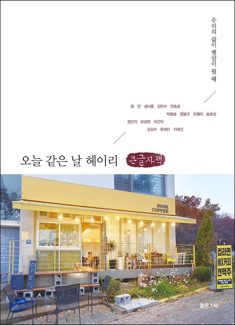 오늘 같은 날 헤이리 : 우리의 삶이 햇살이 될 때 : 큰글자책