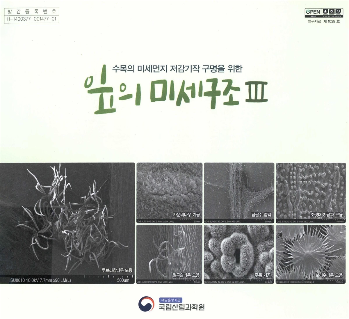 (수목의 미세먼지 저감기작 구명을 위한) 잎의 미세구조. 3