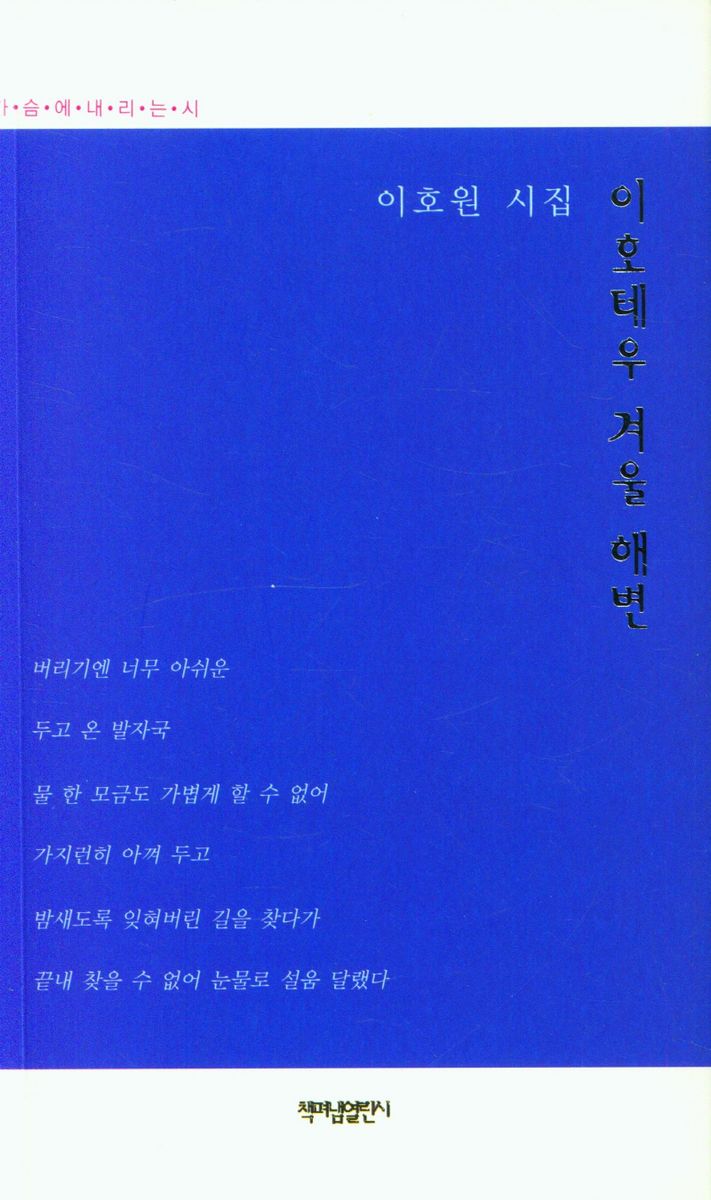 이호테우 겨울 해변 : 이호원 시집