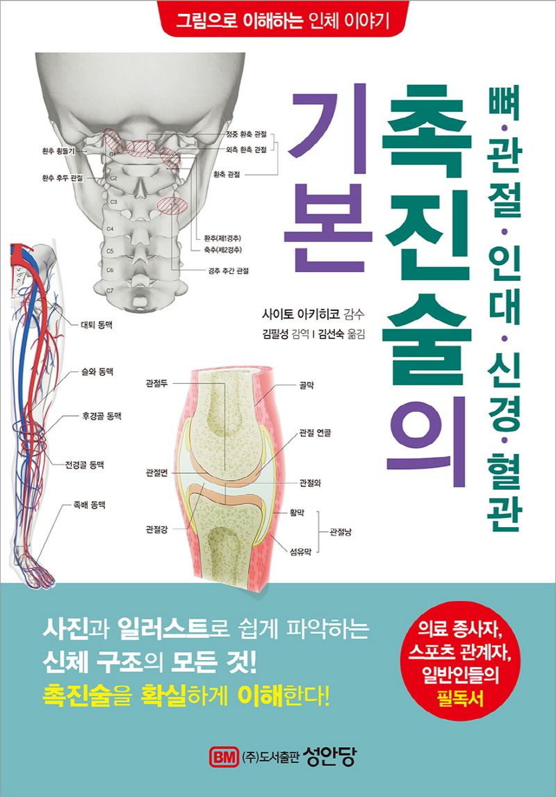 (뼈·관절·인대·신경·혈관) 촉진술의 기본