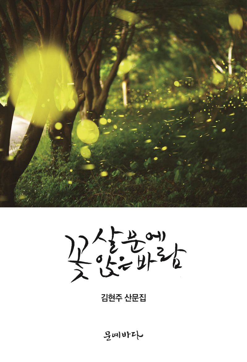 꽃살문에 앉은 바람 : 김현주 산문집