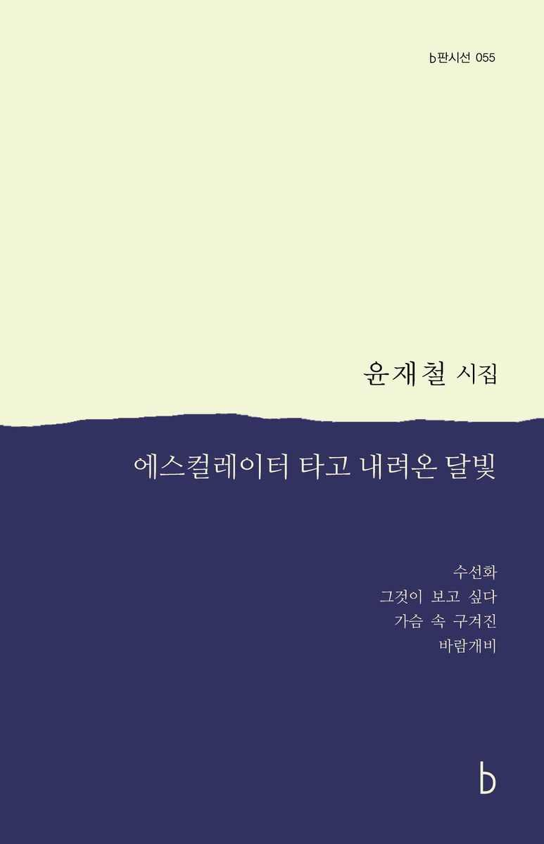 에스컬레이터를 타고 내려온 달빛 : 윤재철 시집