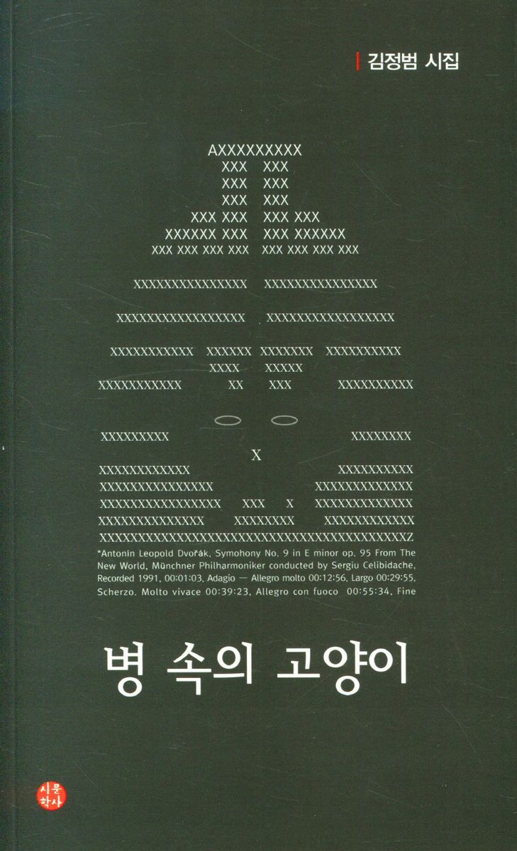 병 속의 고양이 : 김정범 시집