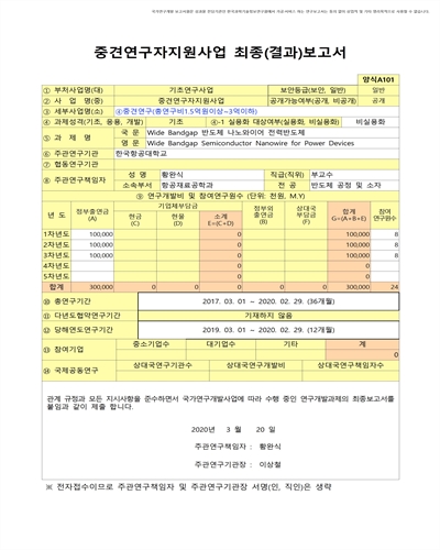 Wide Bandgap 반도체 나노와이어 전력반도체 [전자자료]