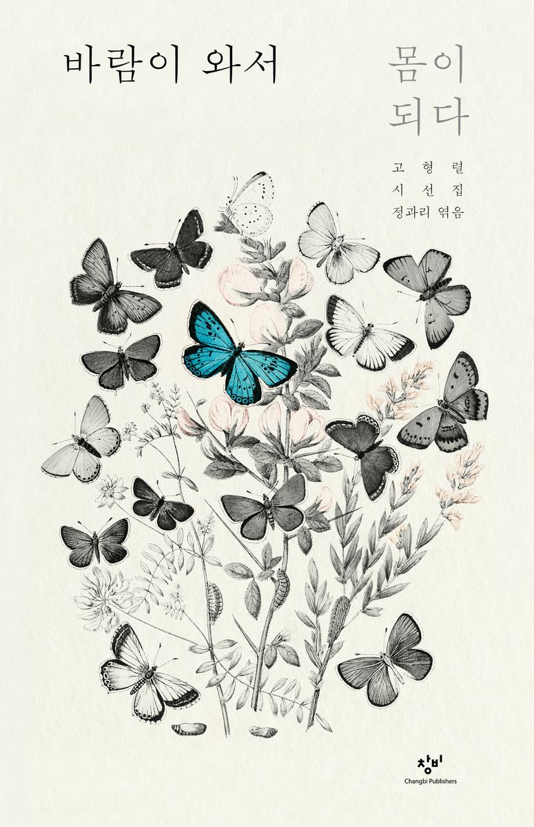 바람이 와서 몸이 되다 : 고형렬 시선집