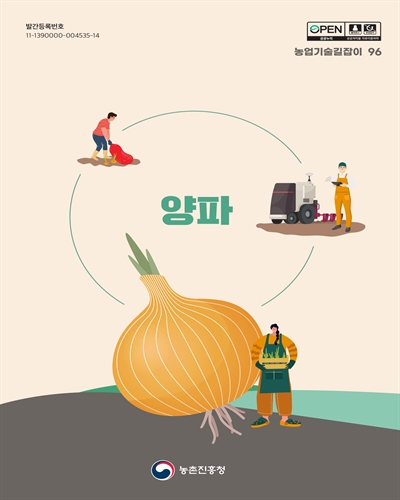 양파