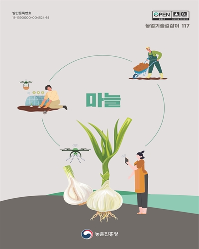마늘