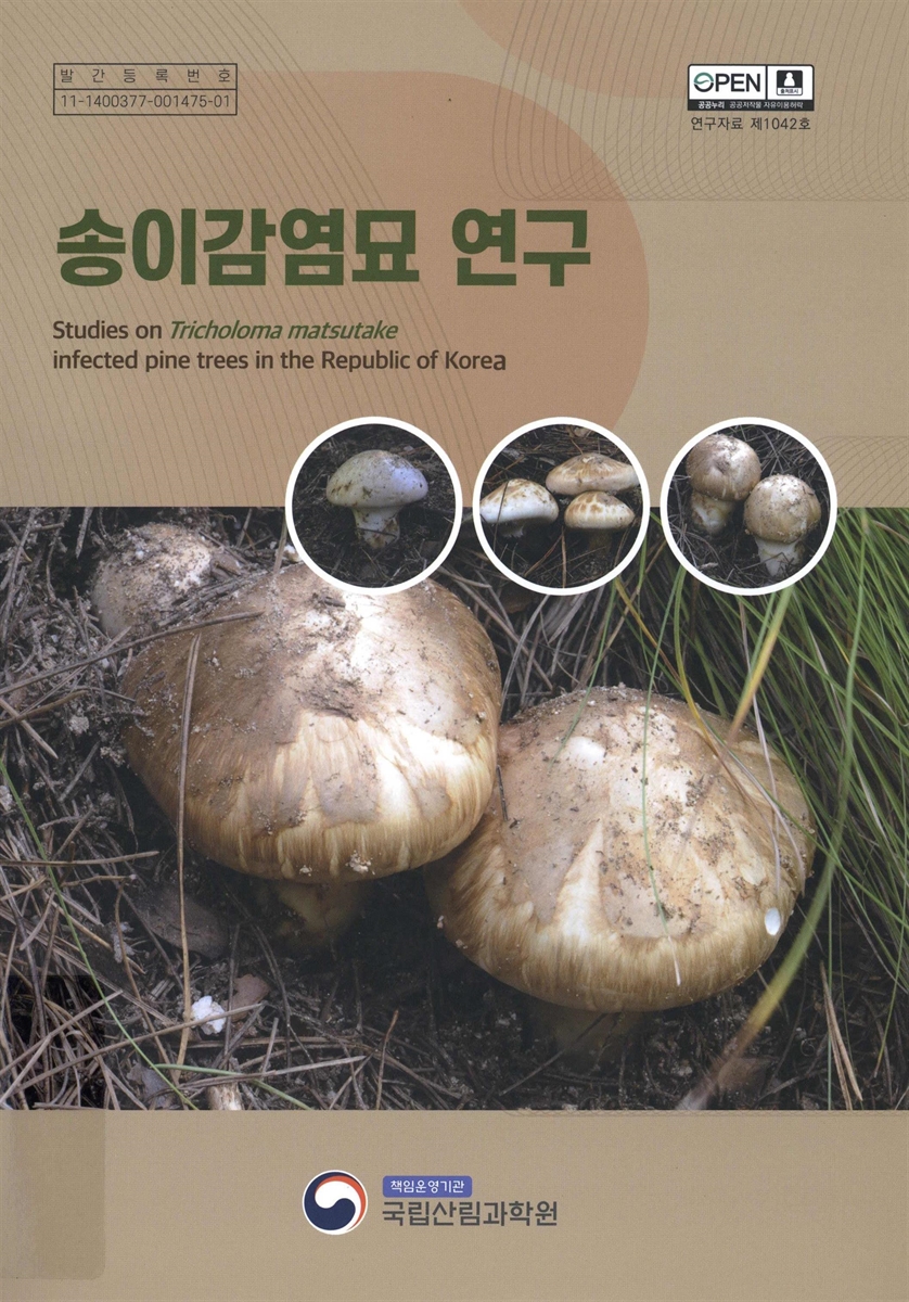 송이감염묘 연구 = Studies on Tricholoma matsutake infected pine trees in the Republic of Korea