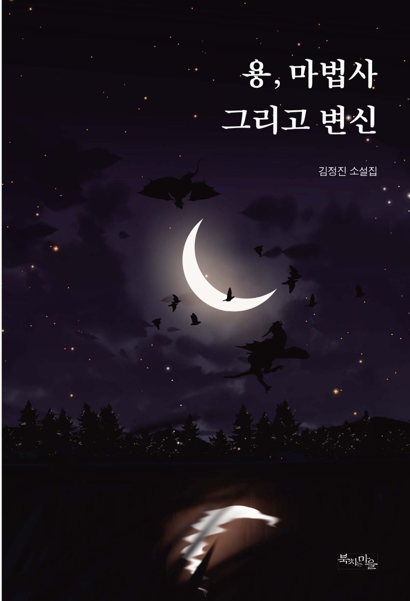 용, 마법사 그리고 변신 : 김정진 소설집